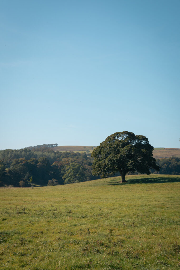 The Devonshire Arms — interior and exterior view 13
