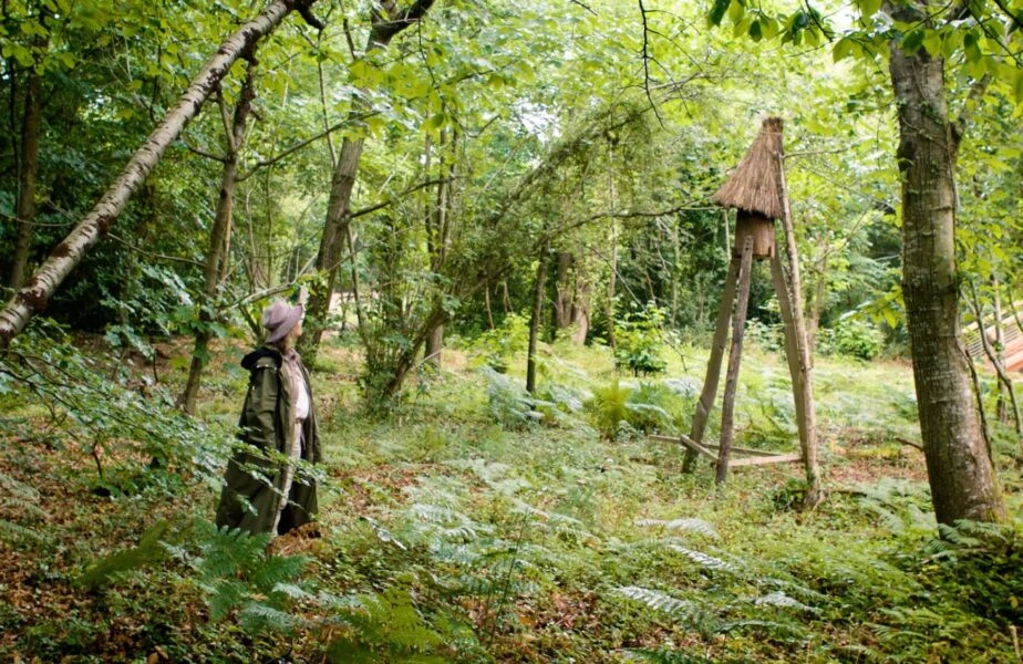 Louma Country Hotel — interior and exterior view 27