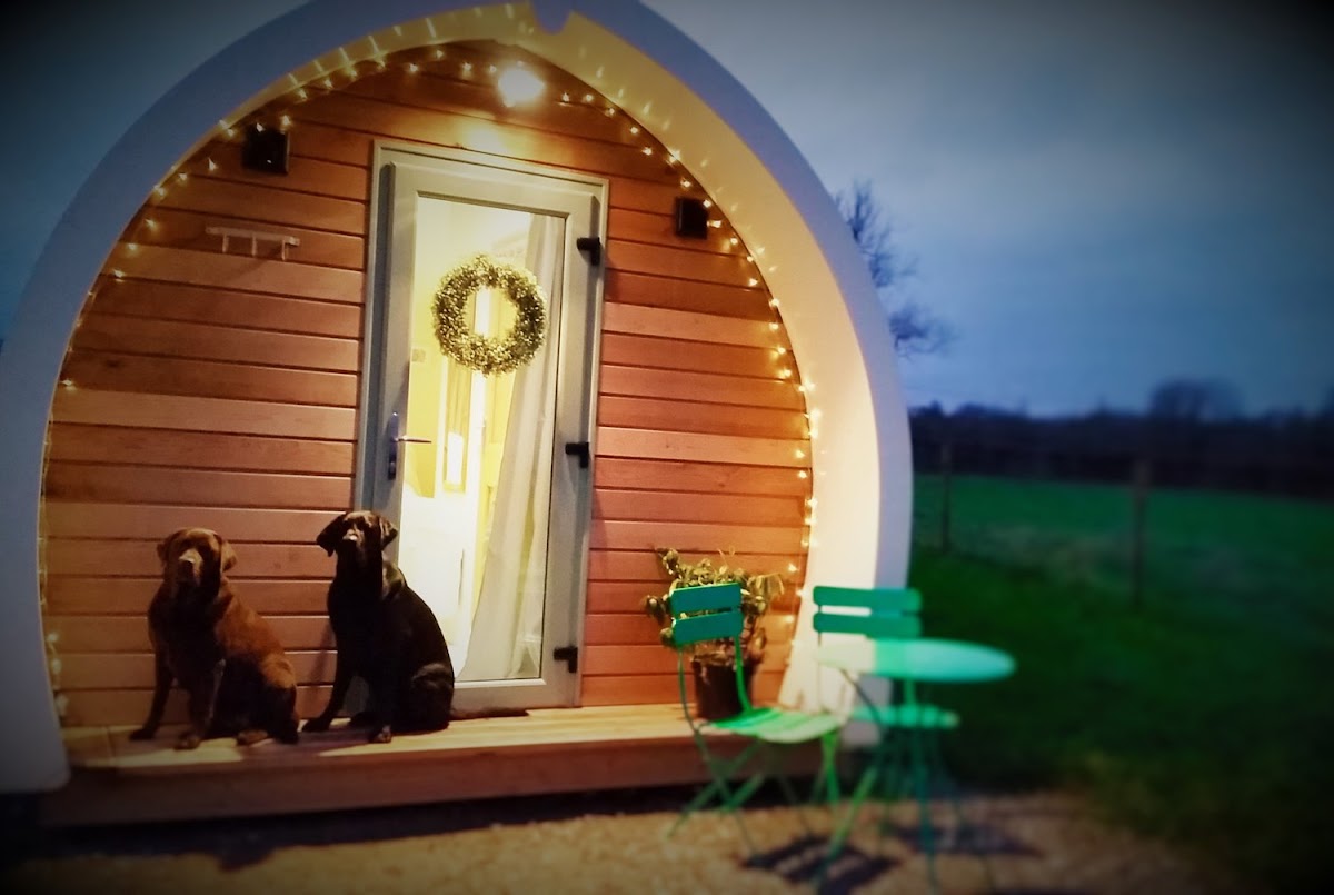 Winston at Unplugged — Mells, Somerset