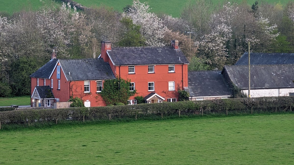 Felin Fach Griffin — Felin Fach, Powys