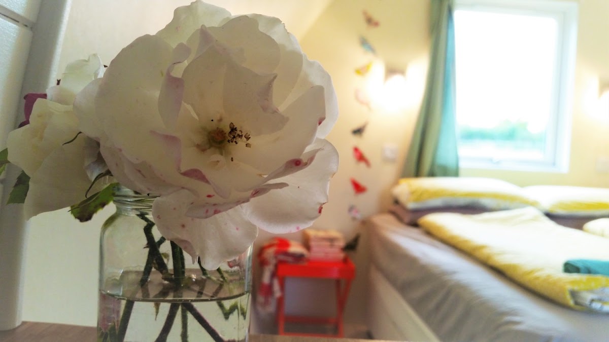 Winston at Unplugged — interior and exterior view 6