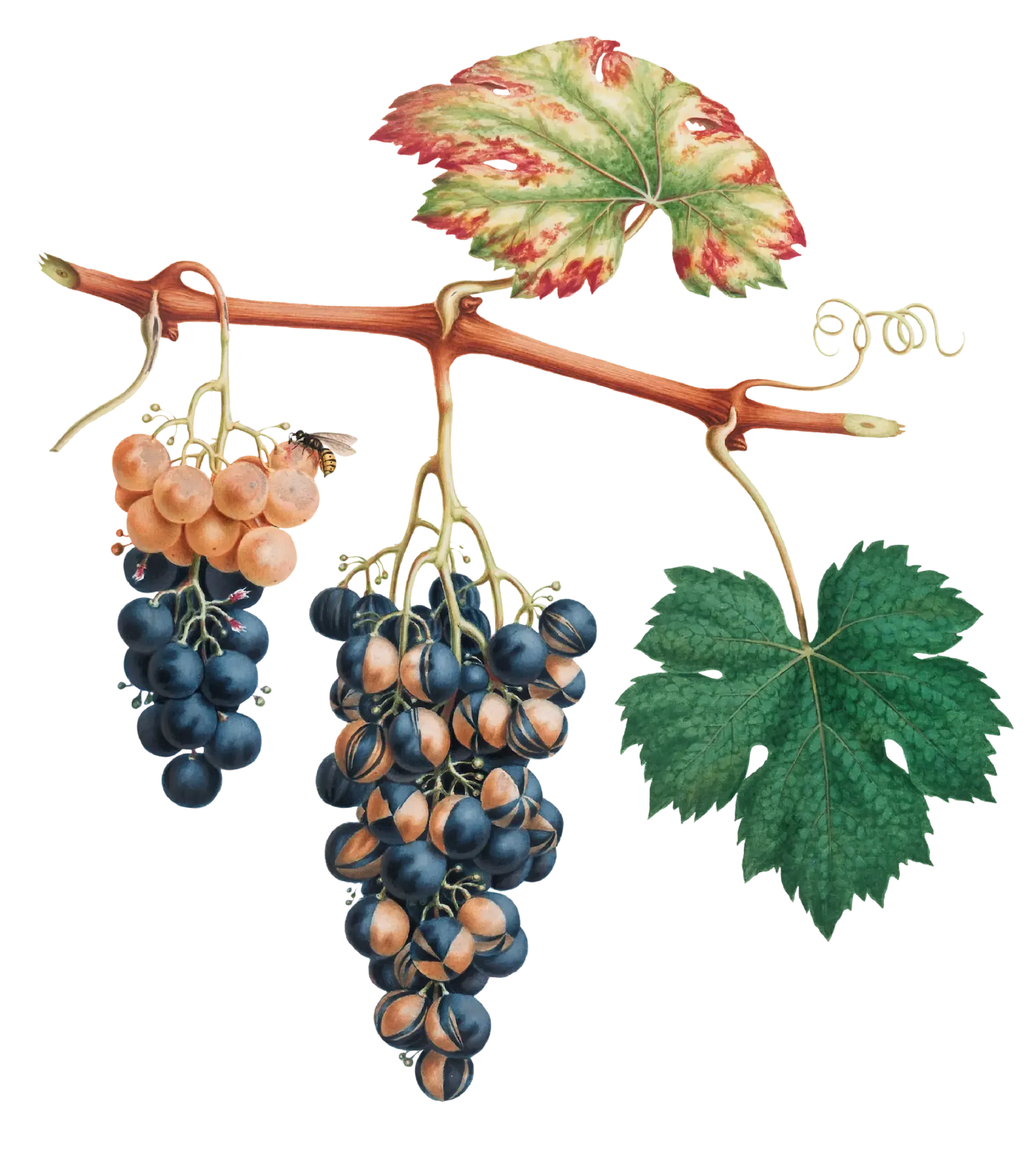 Louma Country Hotel — interior and exterior view 3