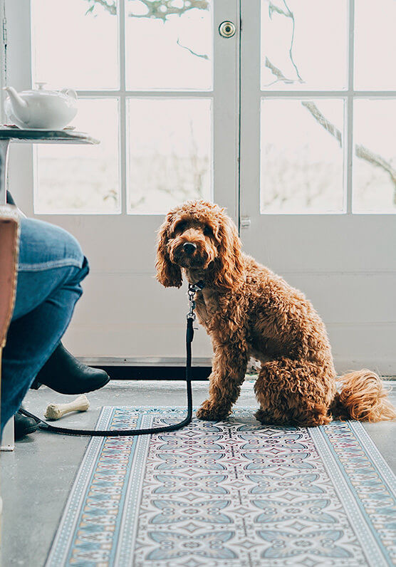 Penally Abbey Hotel & Restaurant — interior and exterior view 27