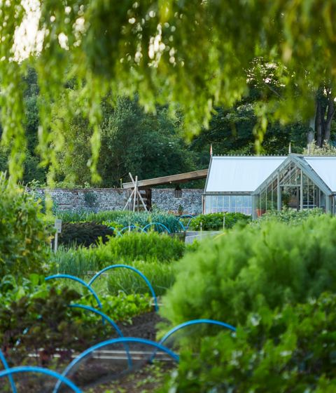 The Pig (original) — interior and exterior view 7