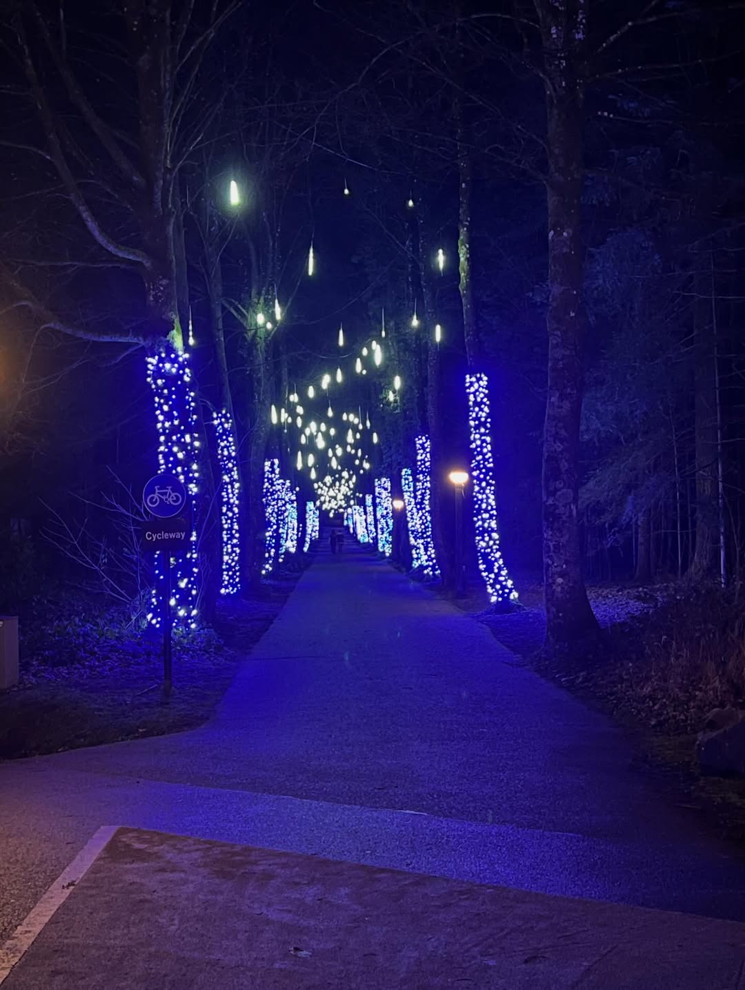 Center Parcs Treehouses — interior and exterior view 55