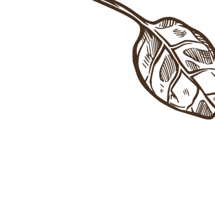 The Pig at Harlyn Bay — interior and exterior view 19