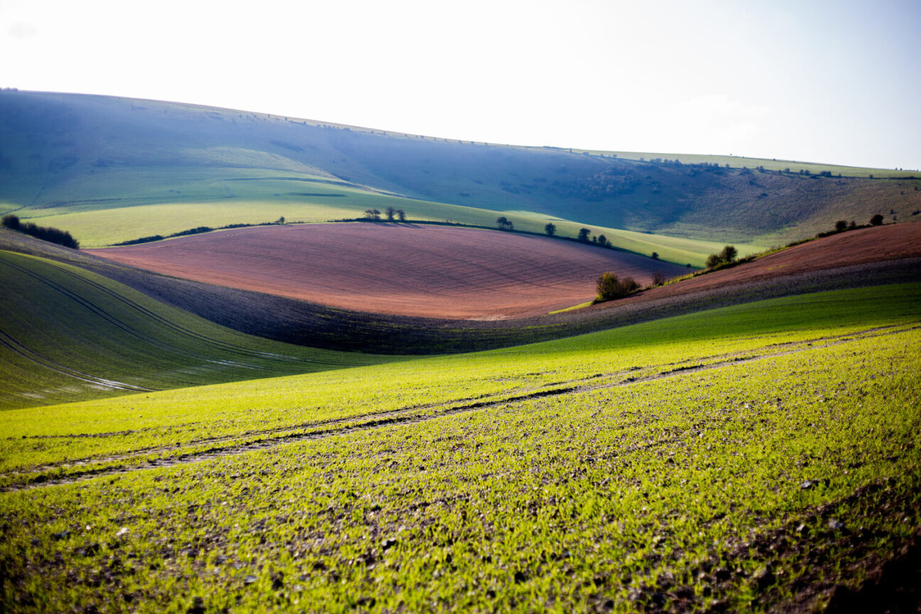 The Granary Barn — interior and exterior view 45