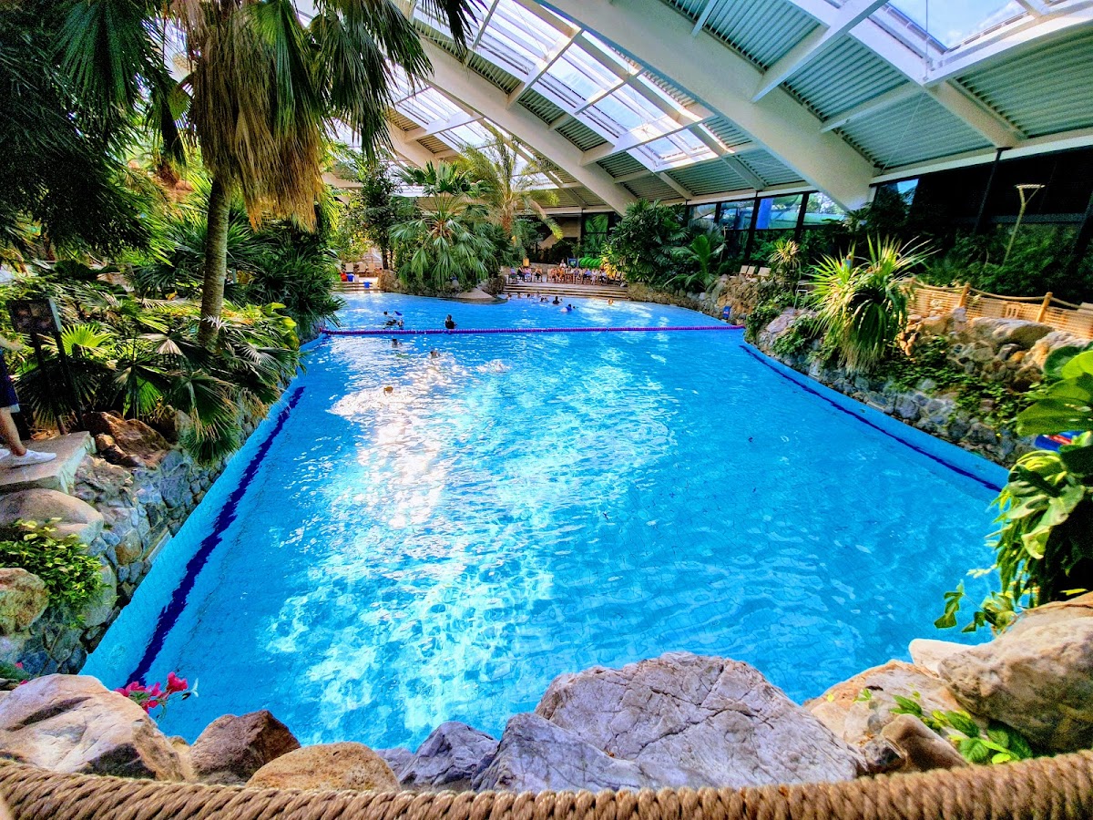 Center Parcs Treehouses — interior and exterior view 6