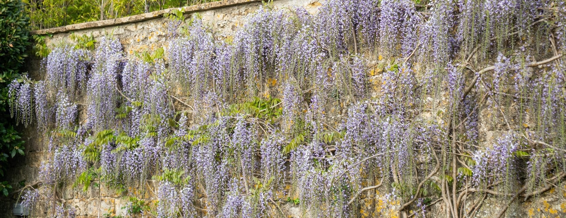 The Ollerod — interior and exterior view 16