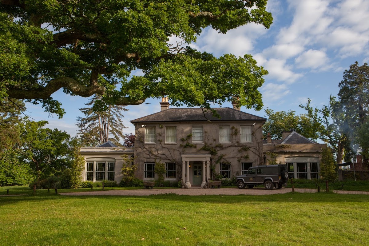 The Pig (original) — Brockenhurst, New Forest