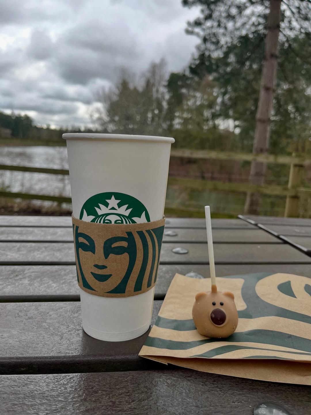 Center Parcs Treehouses — interior and exterior view 53