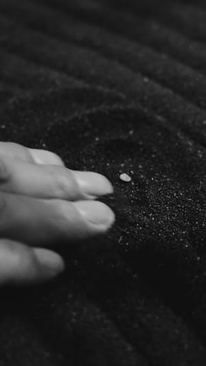 The Newt in Somerset — interior and exterior view 8