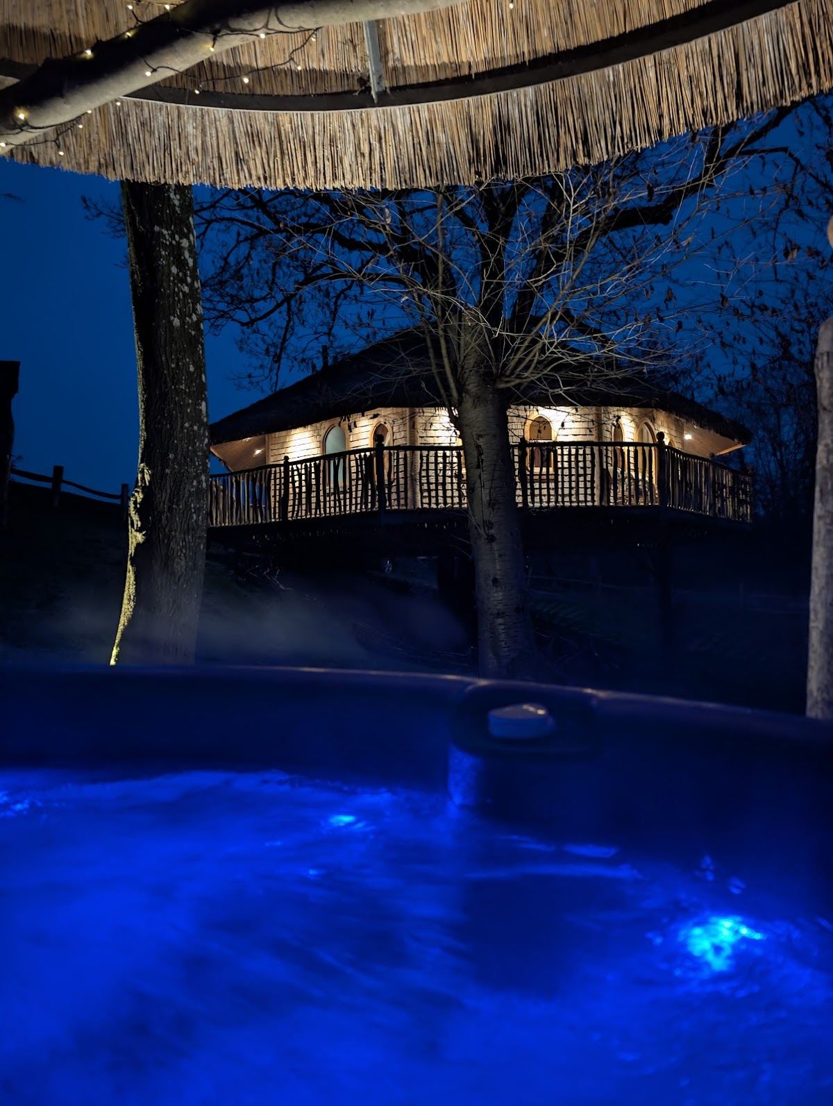 Treeopia — Heart of England