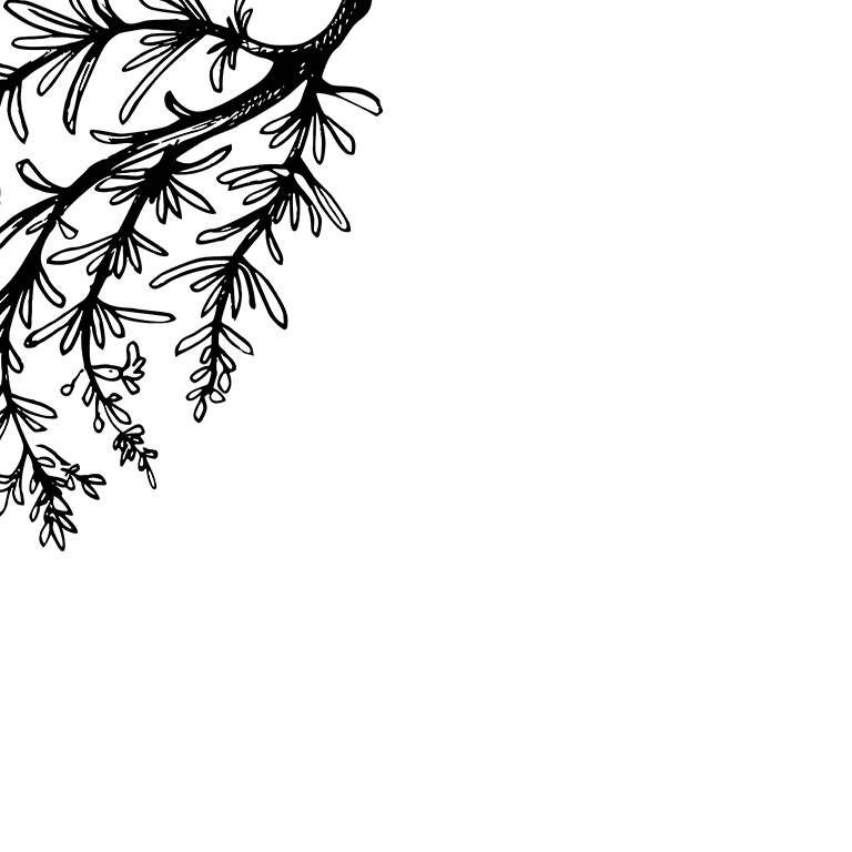 The Pig (original) — interior and exterior view 17