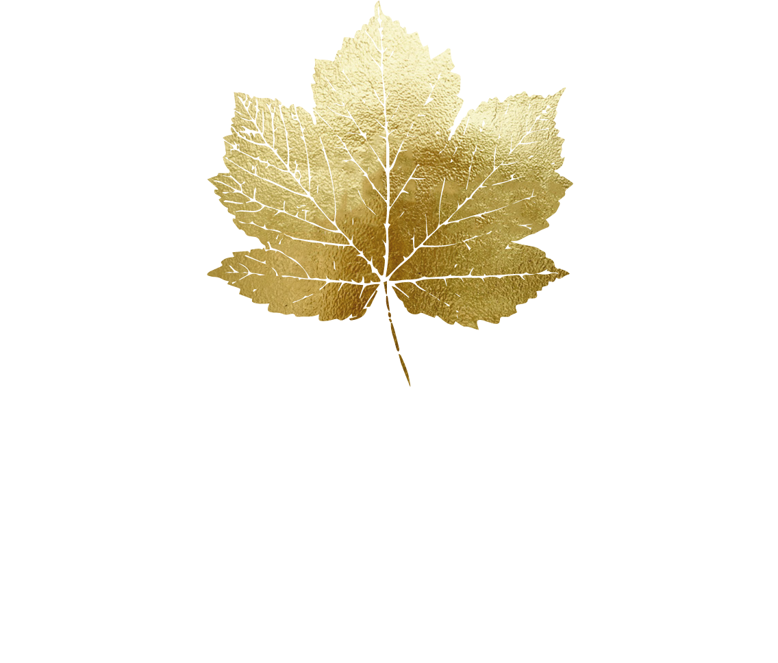 Lanrick Treehouses — interior and exterior view 7