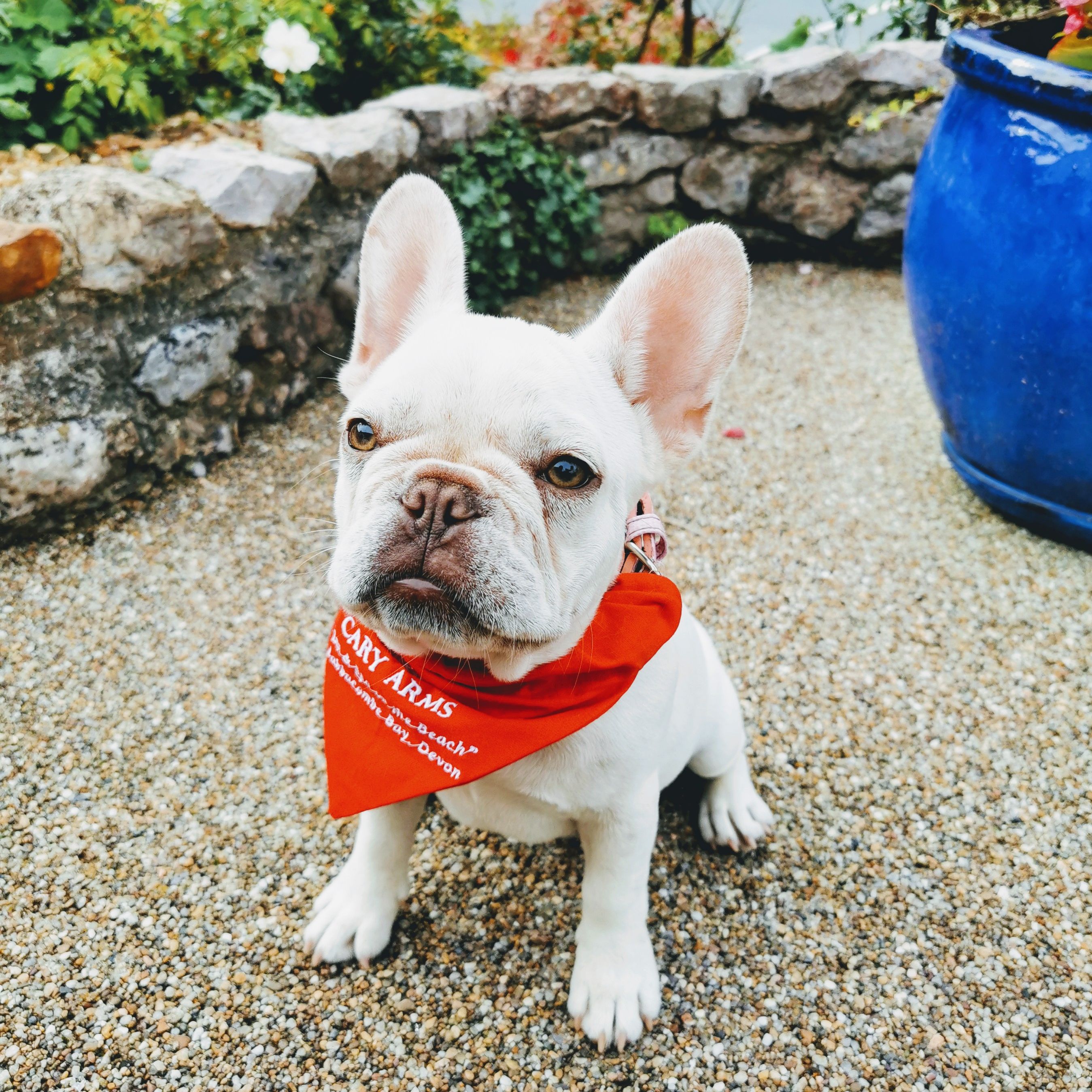 Cary Arms & Spa — interior and exterior view 18