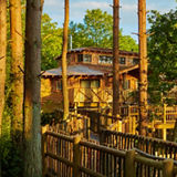 Center Parcs Treehouses — interior and exterior view 30