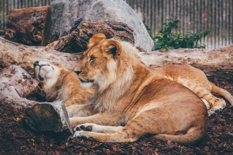 Ellesmera Mill — interior and exterior view 14