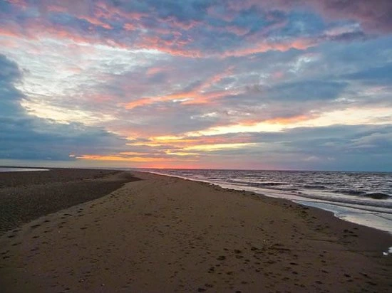 Magazine Wood — interior and exterior view 40