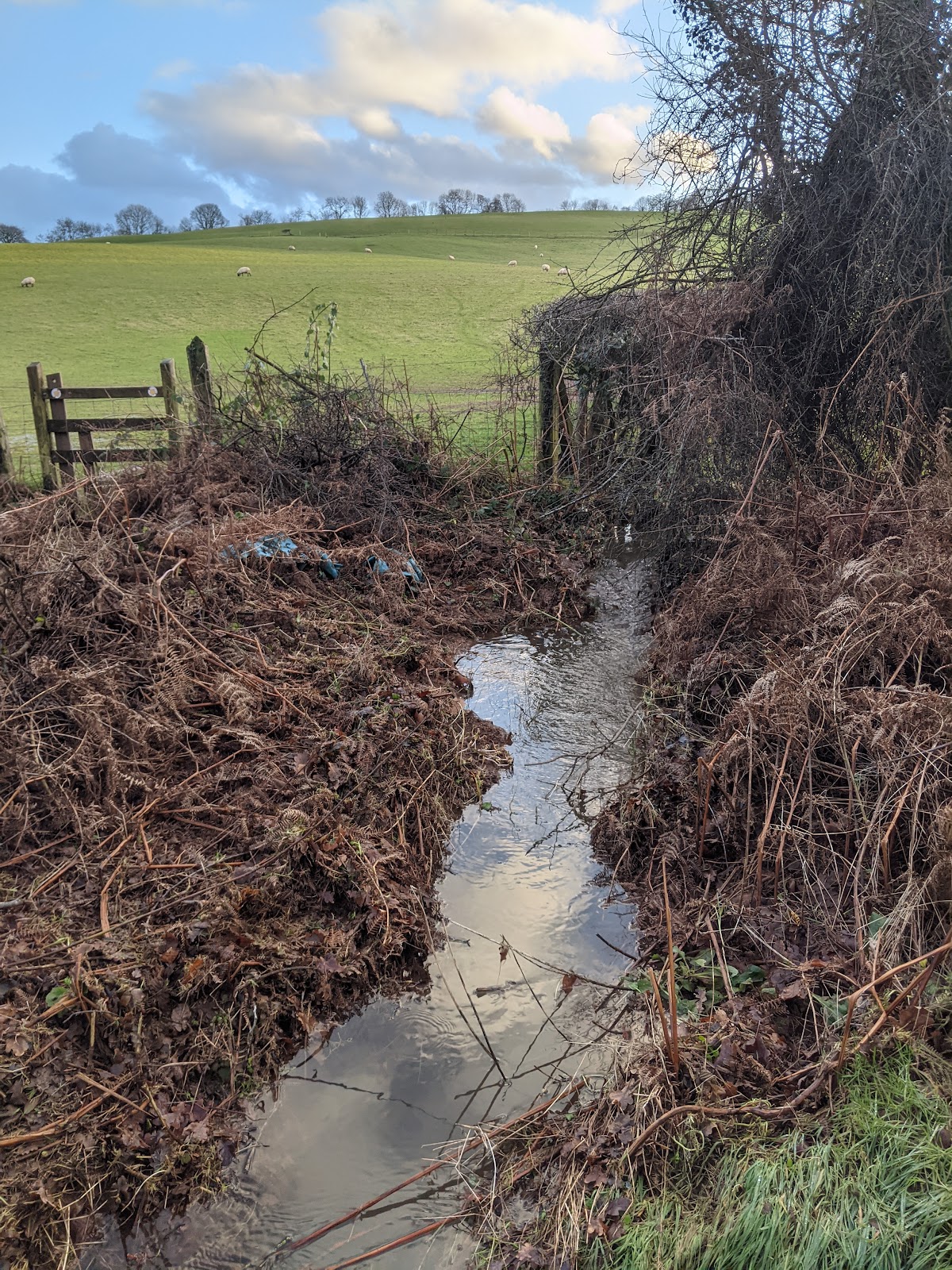 Little Mill — interior and exterior view 7