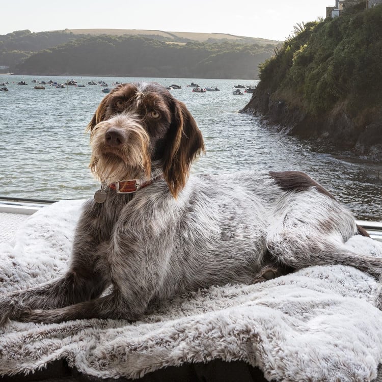 South Sands Hotel — interior and exterior view 11