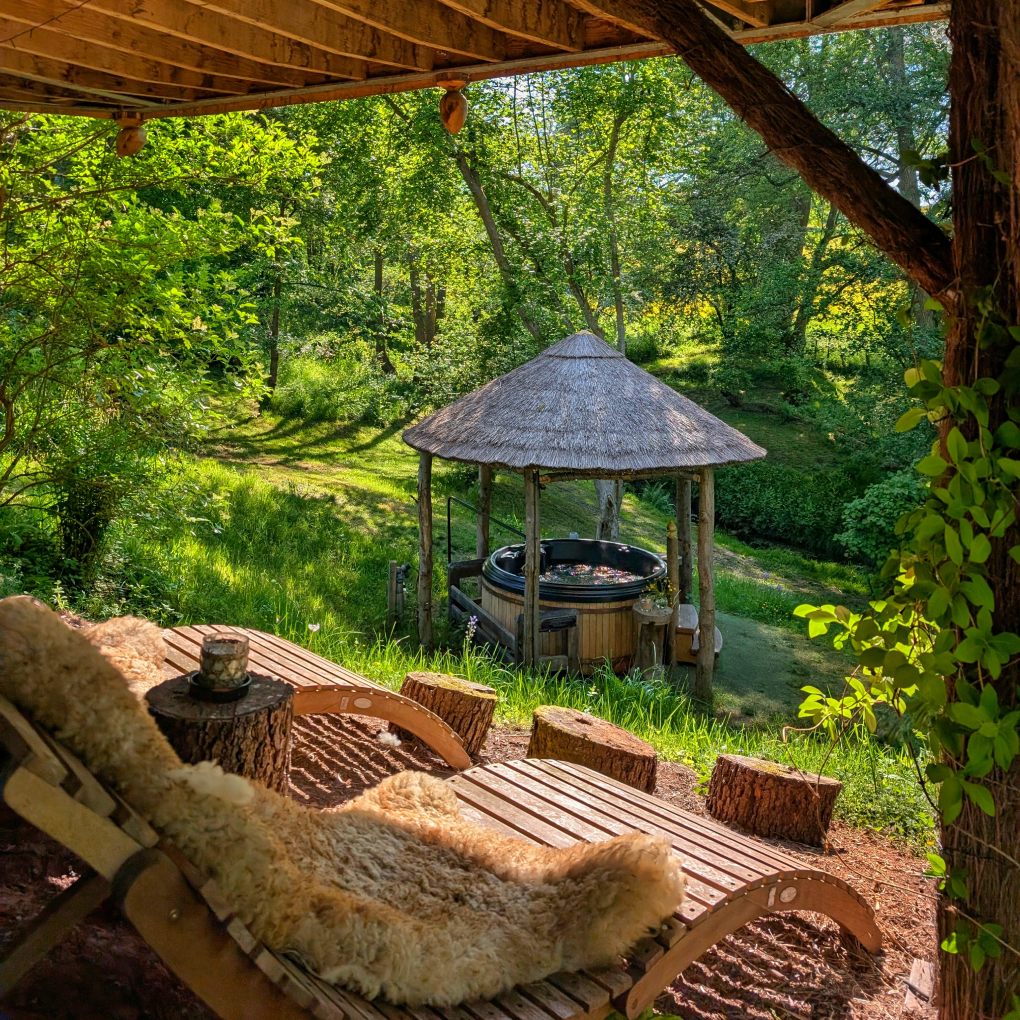 Treeopia — interior and exterior view 7