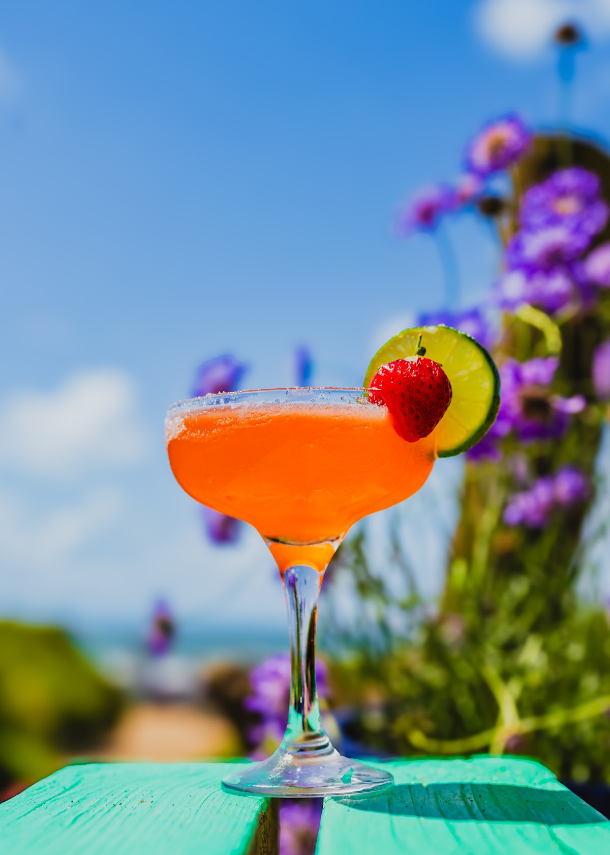 Gaia — interior and exterior view 5