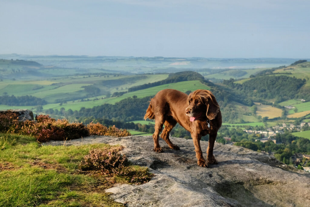 The Cavendish — interior and exterior view 23