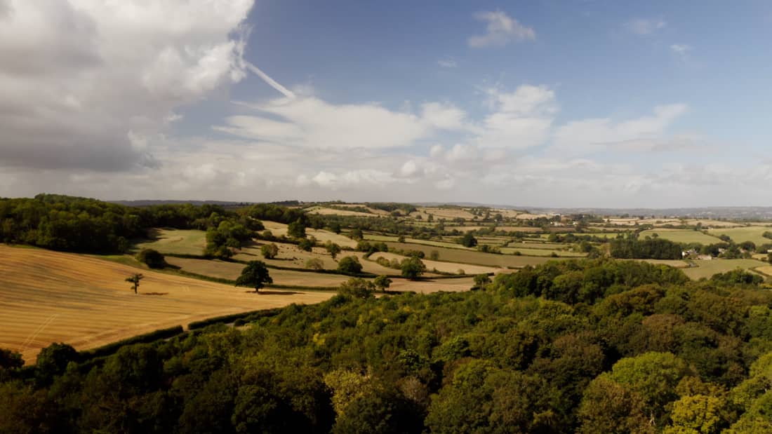 The Pig near Bath — interior and exterior view 8