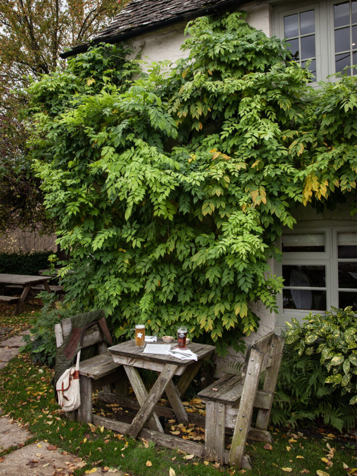 The Plough at Kelmscott — interior and exterior view 13