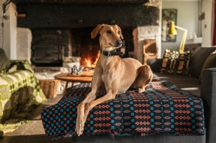 Aquila — interior and exterior view 2