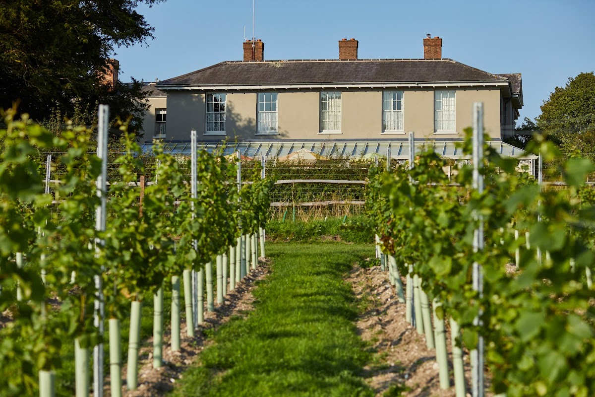 The Pig in the South Downs — interior and exterior view 5