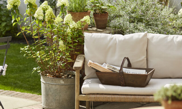 The Lime Tree Hotel — interior and exterior view 15