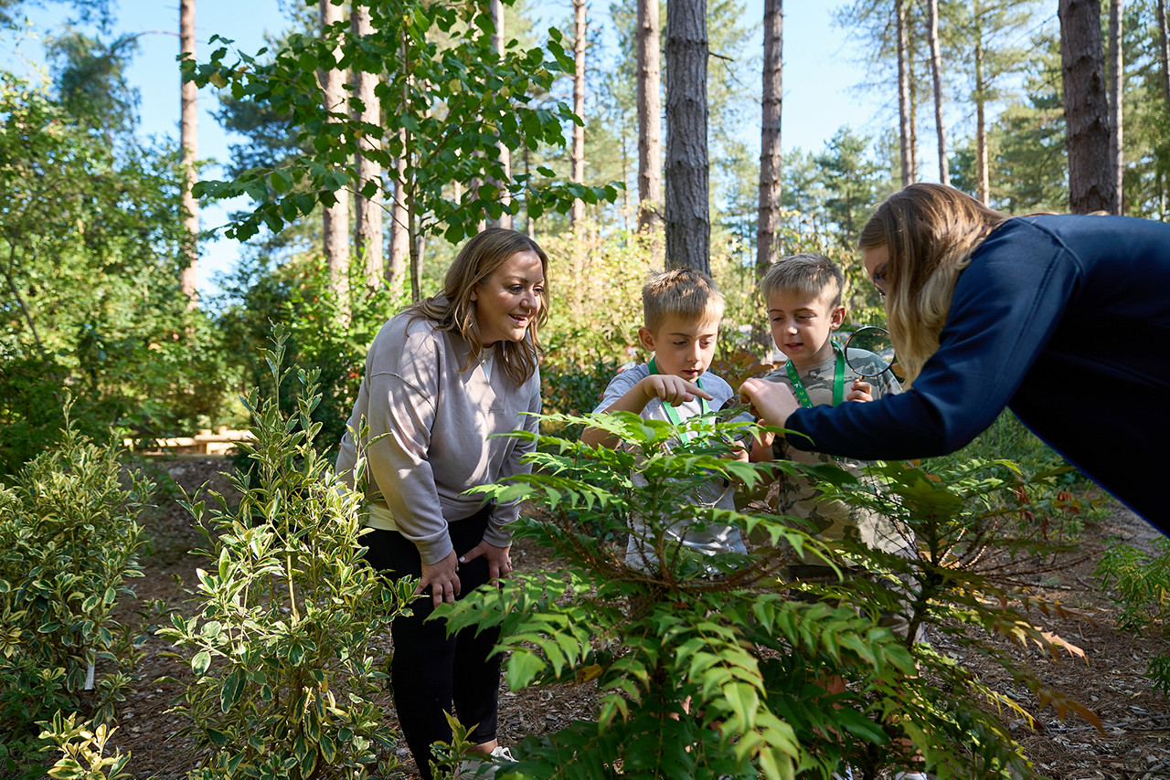 Center Parcs Treehouses — interior and exterior view 43