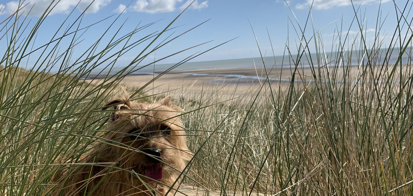 The Gallivant — interior and exterior view 25