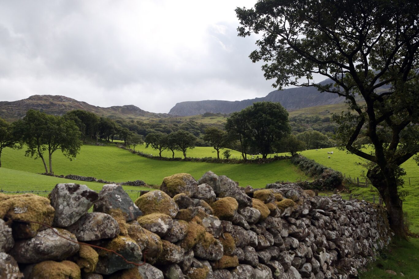 Penmaenuchaf Hall — interior and exterior view 9