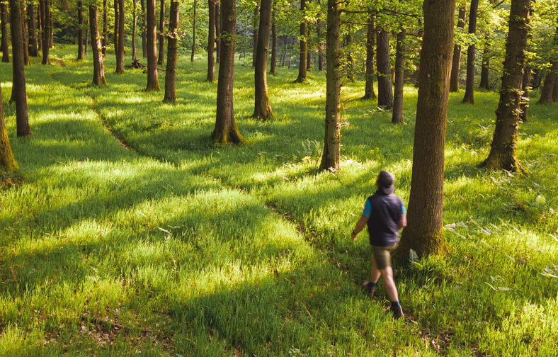 Fishmore Hall — interior and exterior view 44