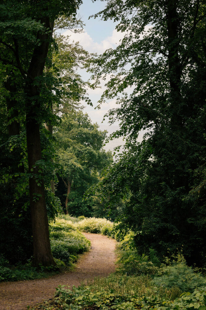 The Cavendish — interior and exterior view 11