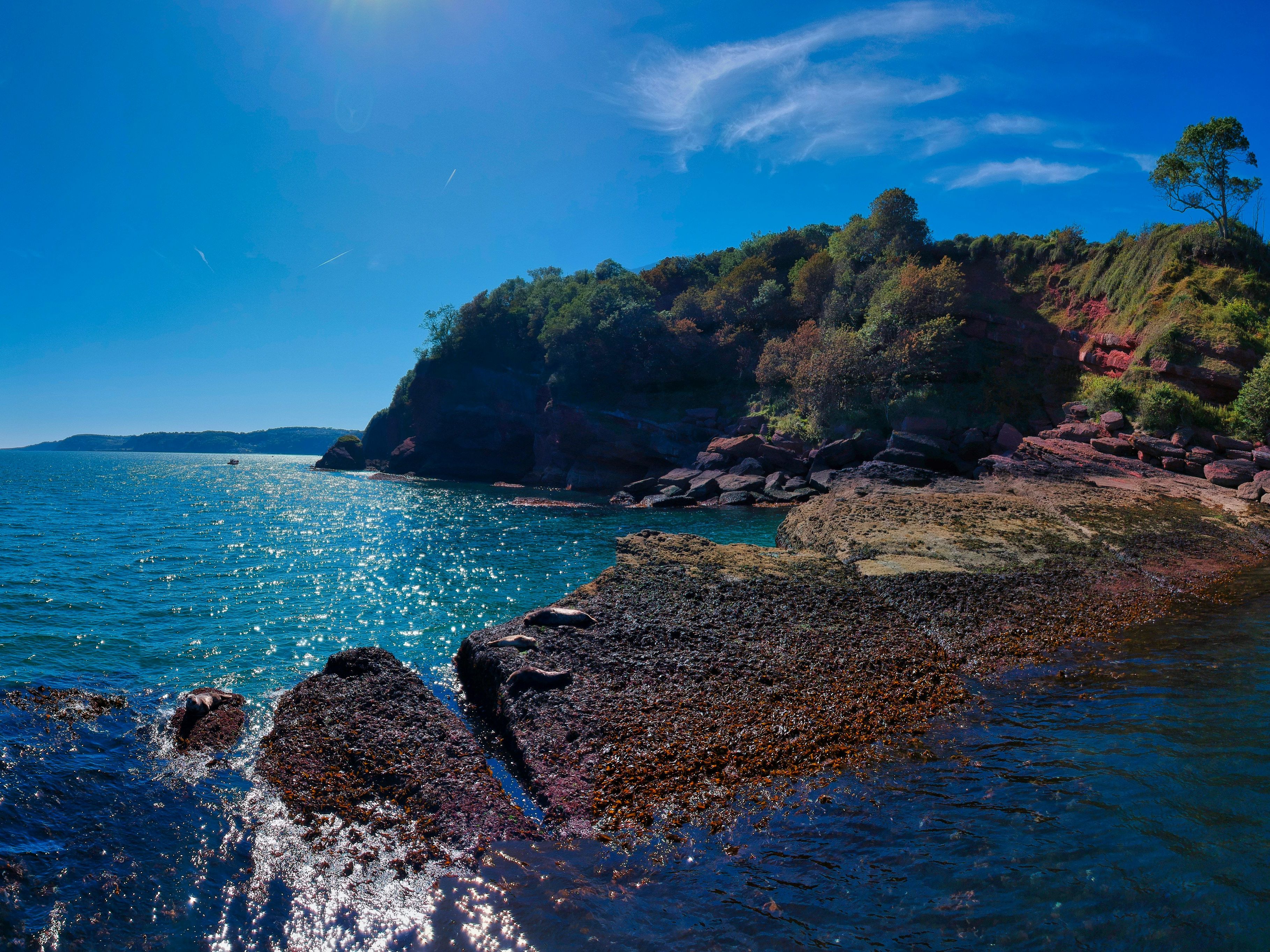 Cary Arms & Spa — interior and exterior view 24