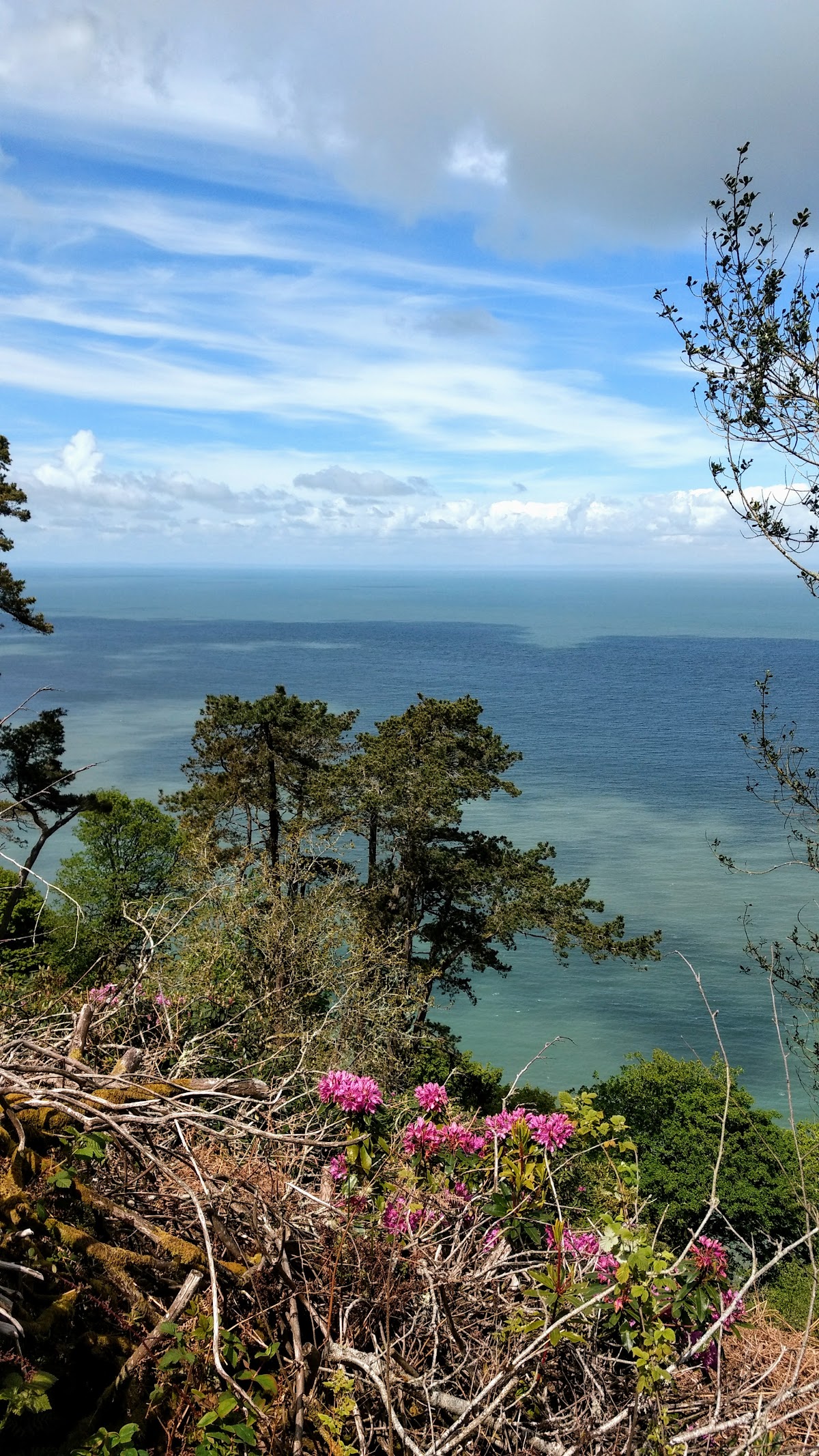 Foreland Lighthouse Keeper's Cottage — interior and exterior view 6