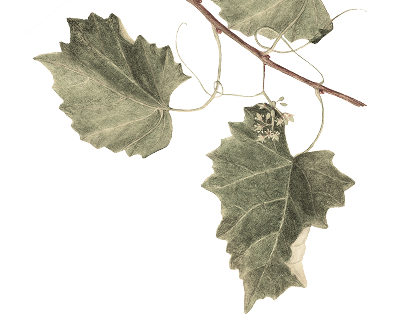 Louma Country Hotel — interior and exterior view 25