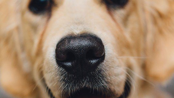 Forest Side — interior and exterior view 14