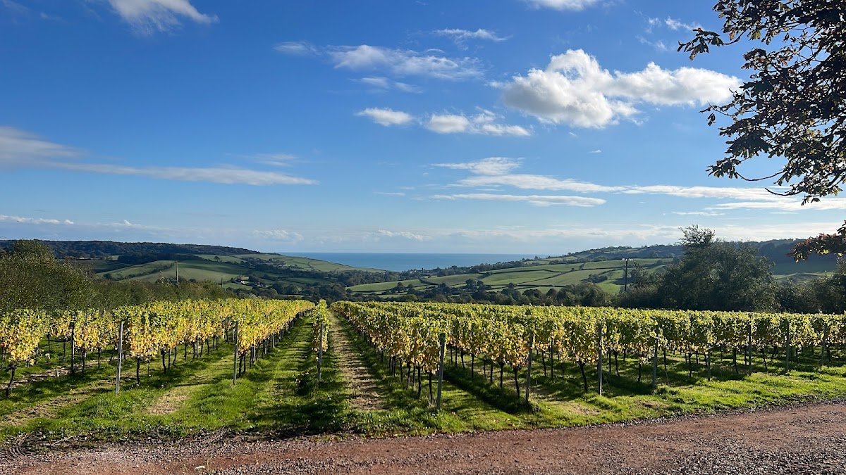 Louma Country Hotel — Dorset