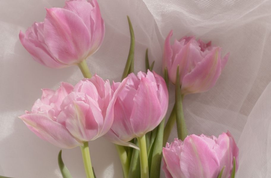 The Greenway Hotel and Spa — interior and exterior view 19