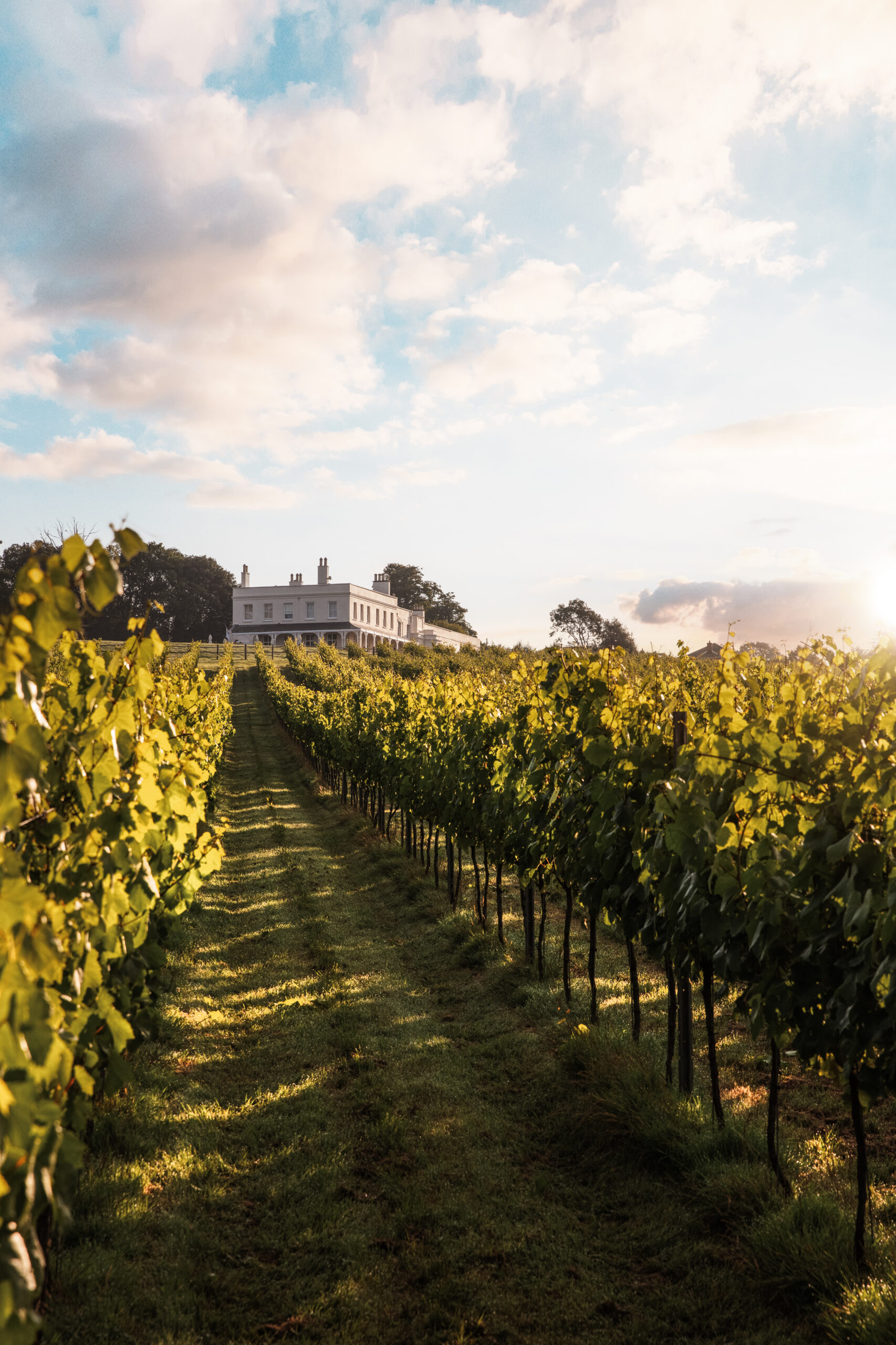 Lympstone Manor Hotel Restaurant & Vineyard — interior and exterior view 11
