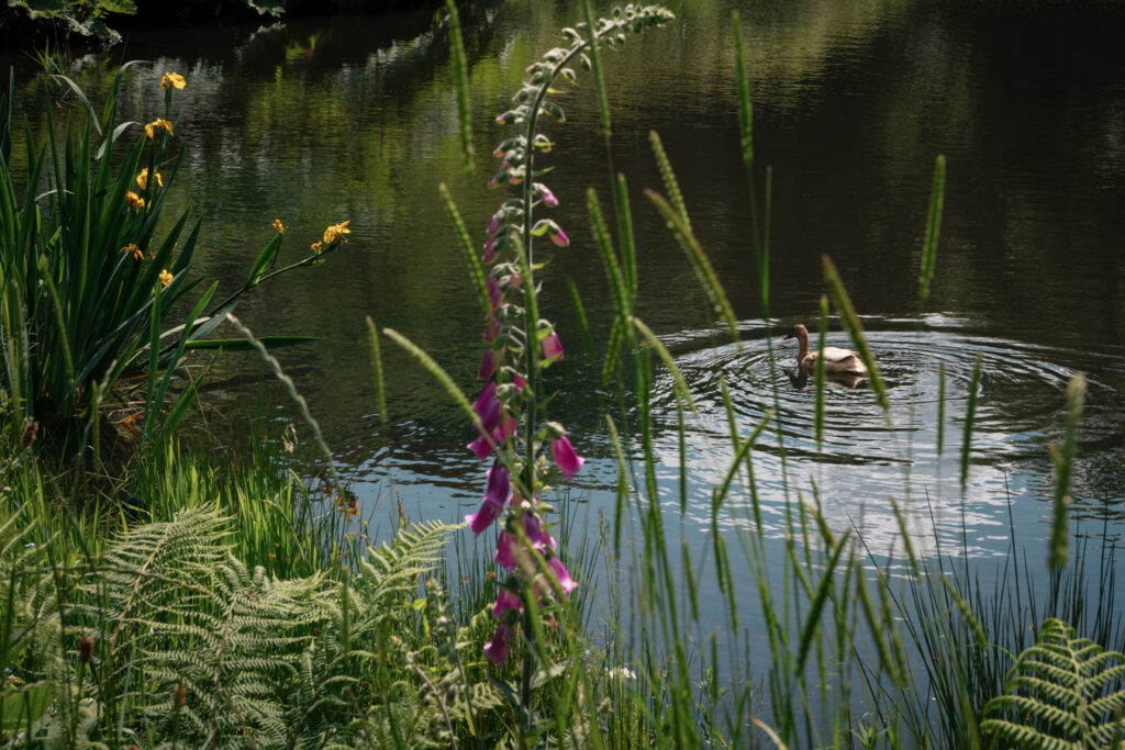 The Devonshire Arms — interior and exterior view 18