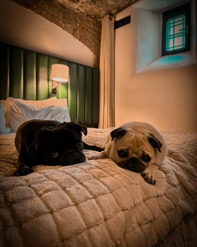 Bodmin Jail Hotel — interior and exterior view 20