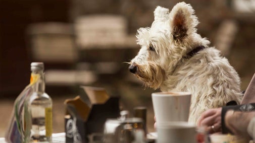 Foreland Lighthouse Keeper's Cottage — interior and exterior view 16