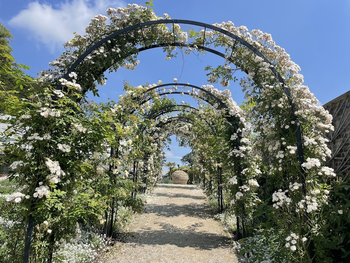 The Newt in Somerset — interior and exterior view 5