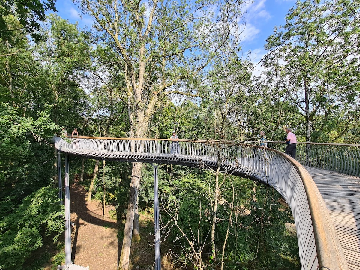 The Newt in Somerset — interior and exterior view 6